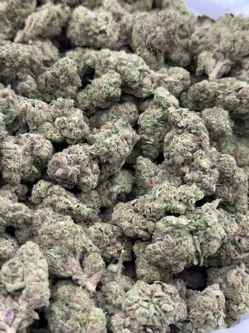 Donny Burger #5 Big — wholesale sativa flower