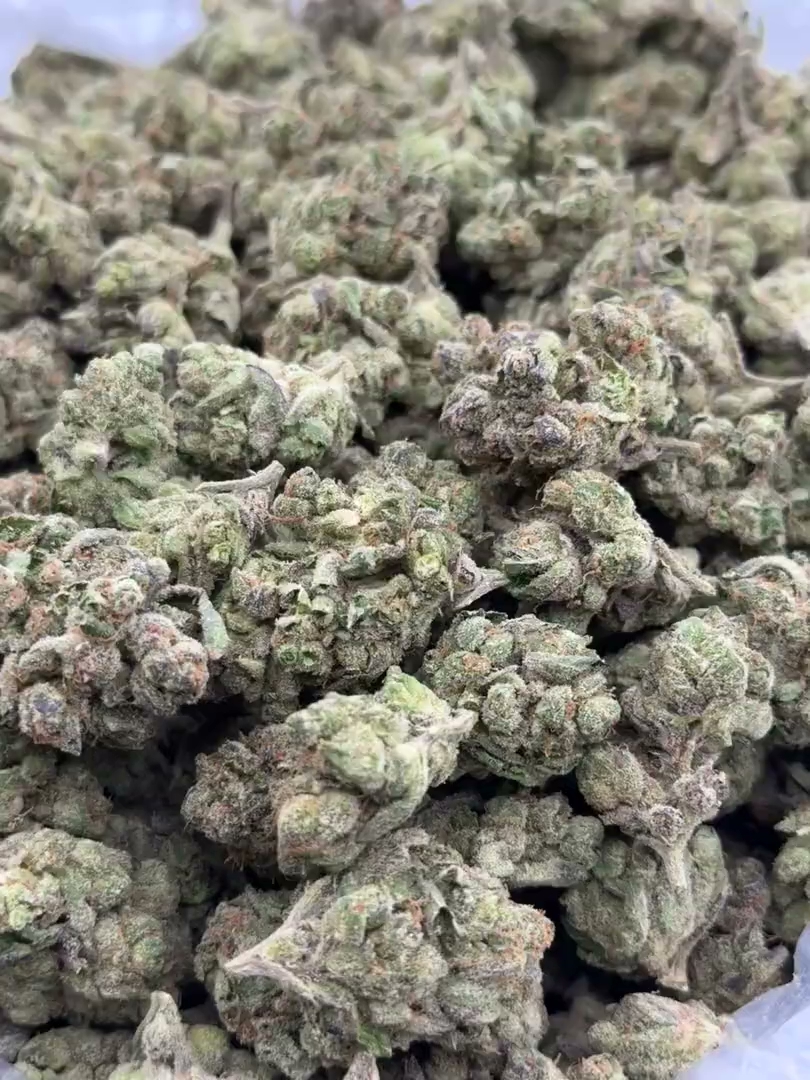 Gelato #41 x Kush Mints Big — wholesale hybrid flower