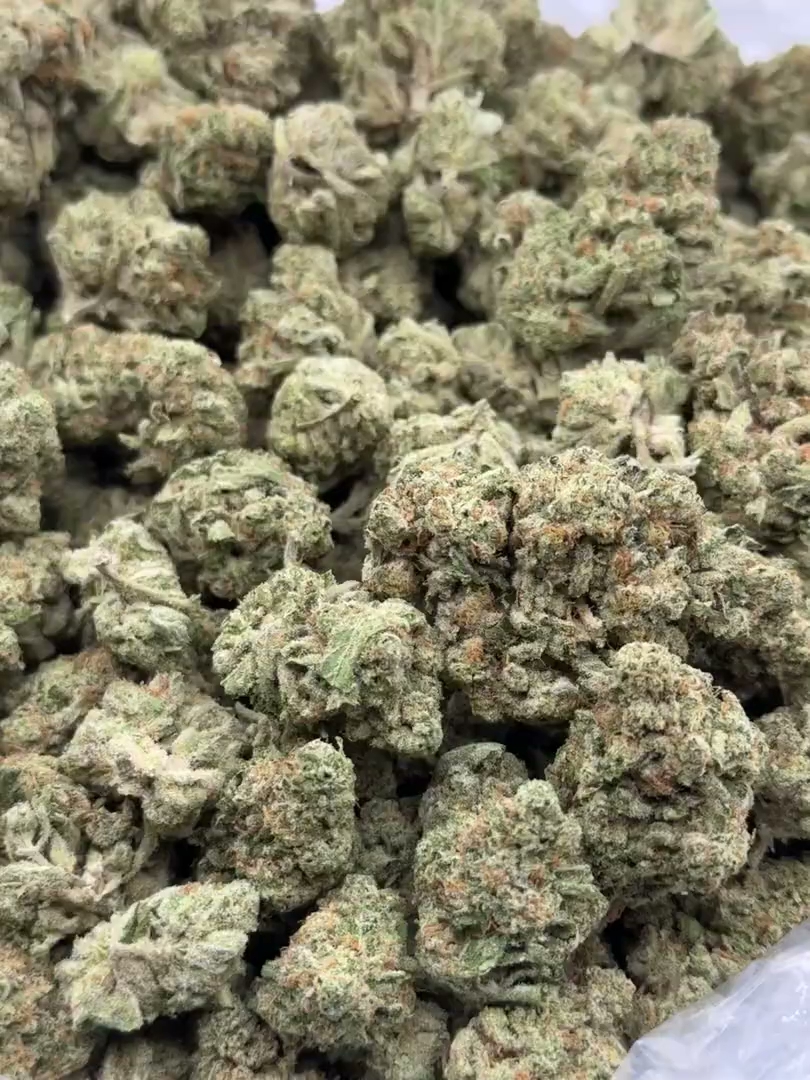 Jealousy x Kush Mintz Big — wholesale hybrid flower
