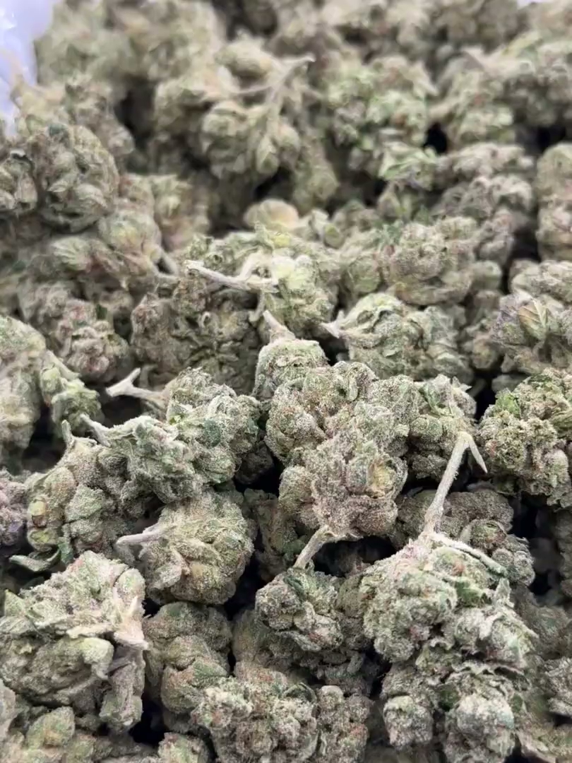 Strawberry Cough Big — wholesale sativa flower