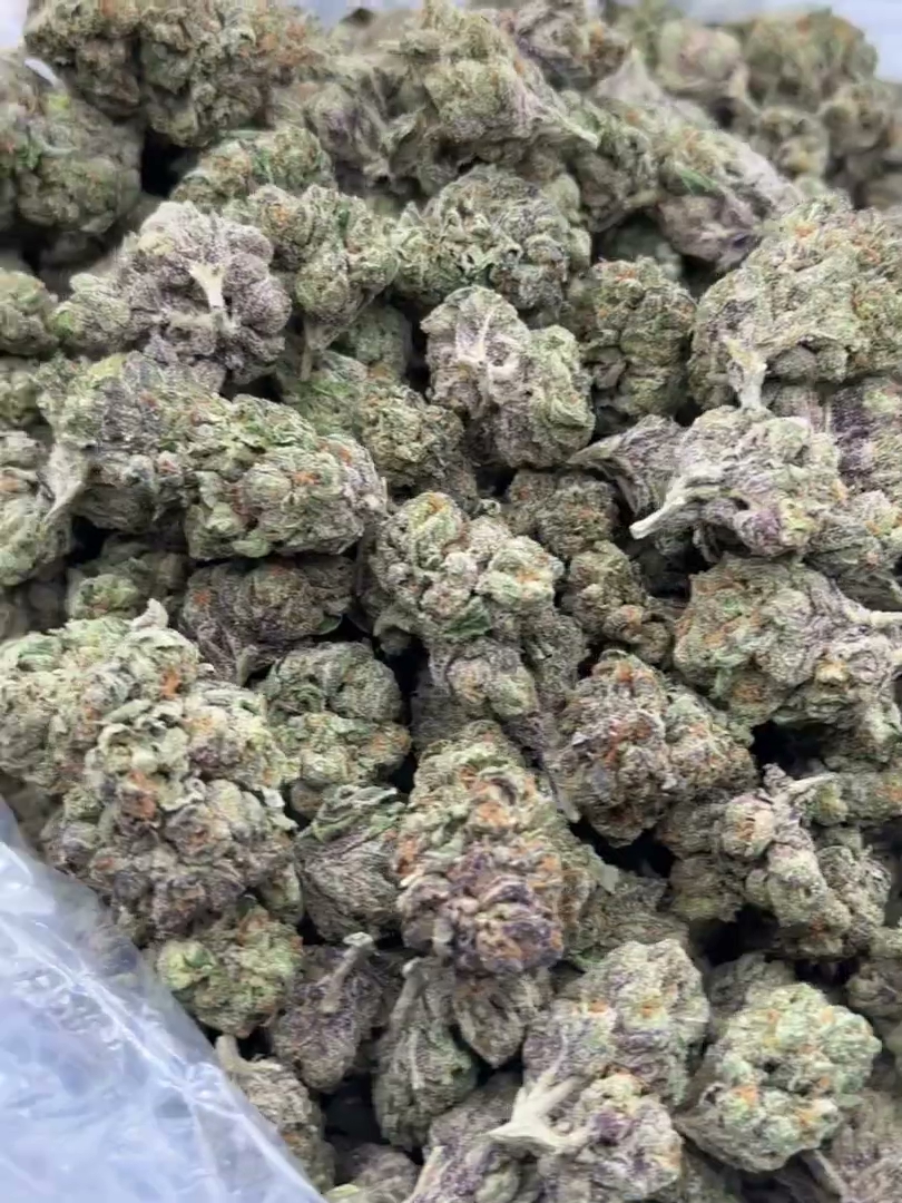 Sugar Tarts Big — wholesale hybrid flower