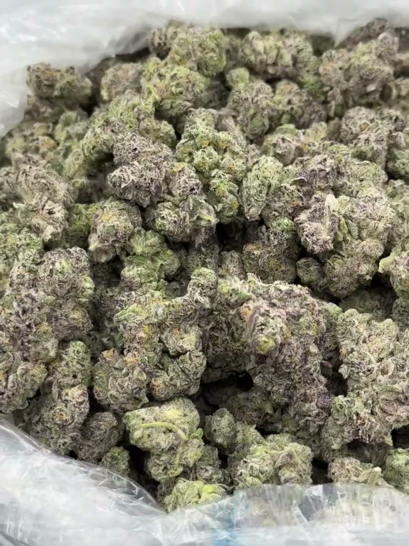 Jealousy Runtz Big — wholesale indica flower
