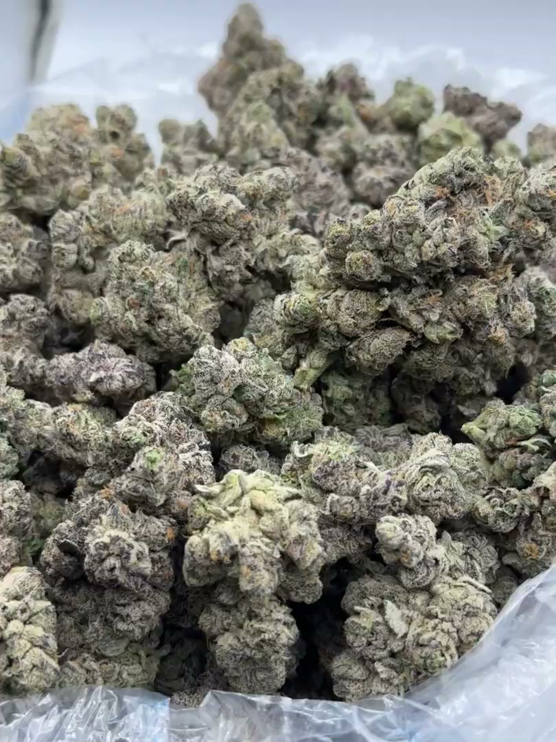LA Push Pop Big — wholesale hybrid flower