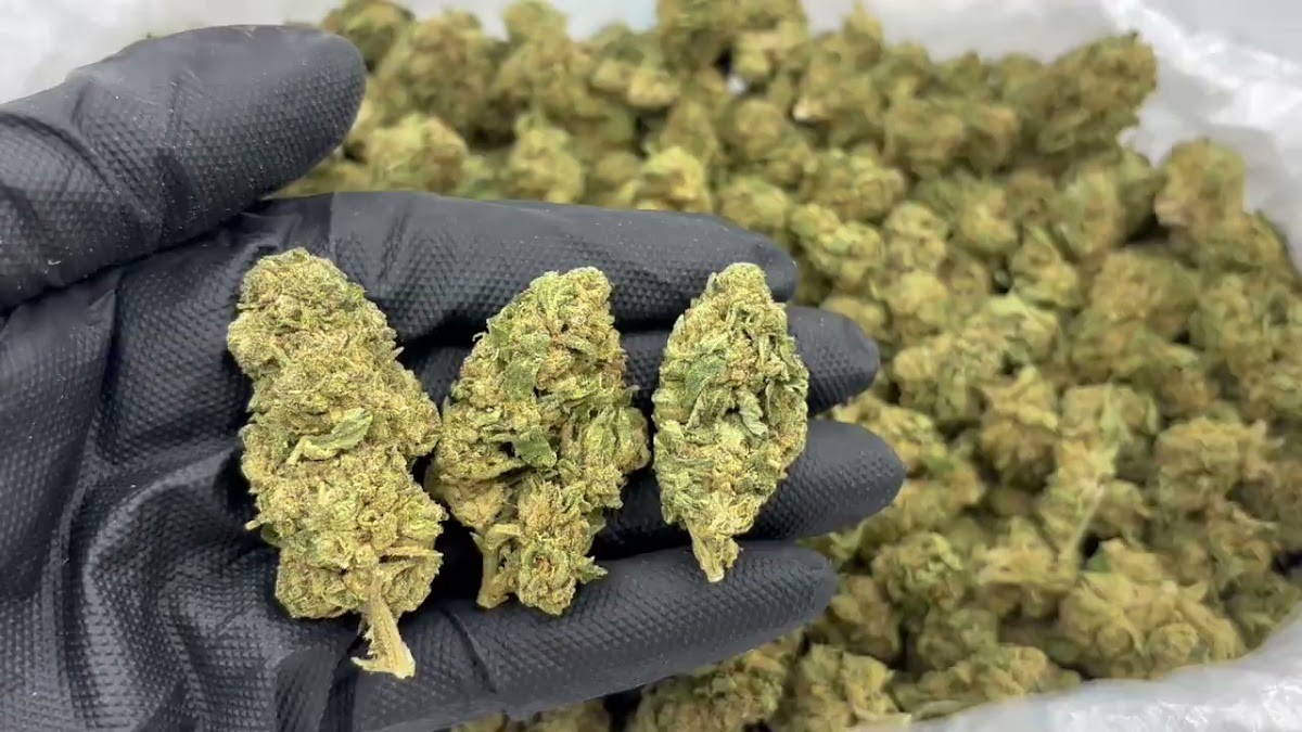 Peanut Butter Snacks Big — wholesale hybrid flower