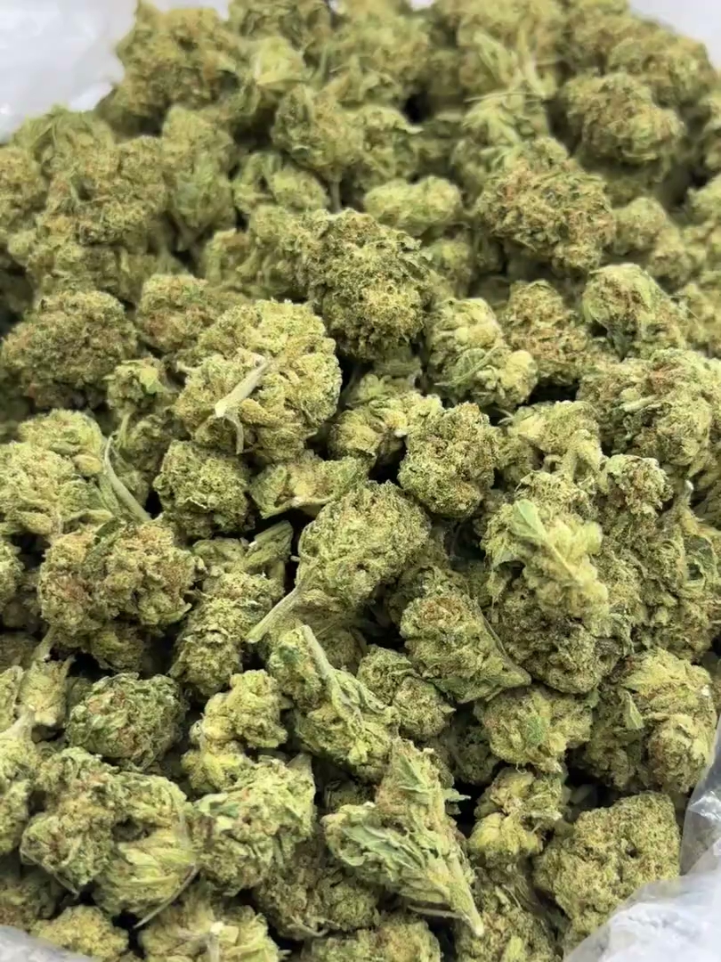 Pink Dragon Big — wholesale hybrid flower