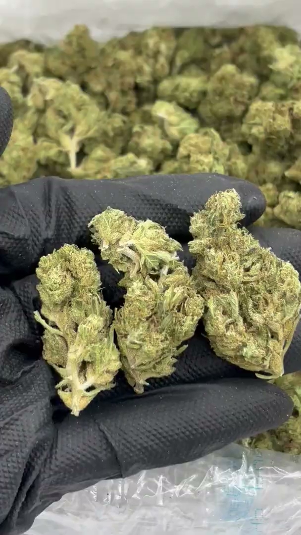 Alien OG Big — wholesale hybrid flower