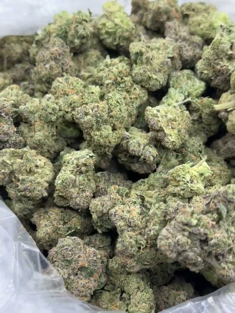 Banana Cream Cake x Jealousy Big — wholesale hybrid flower