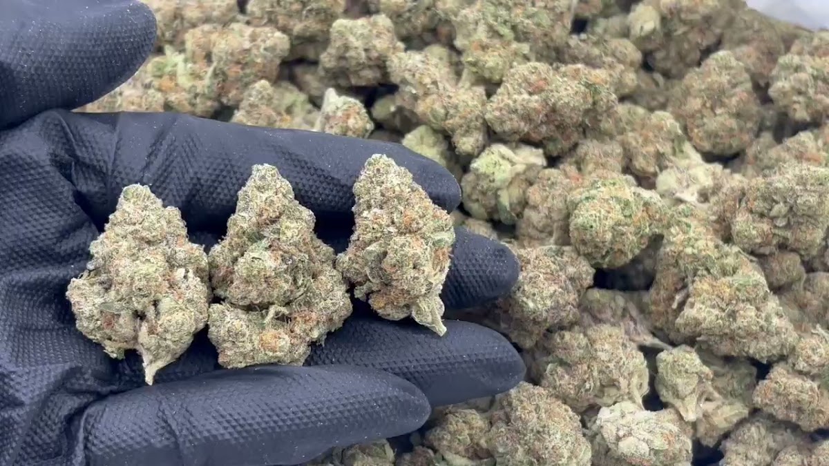 Bubble Bath Big — wholesale indica flower