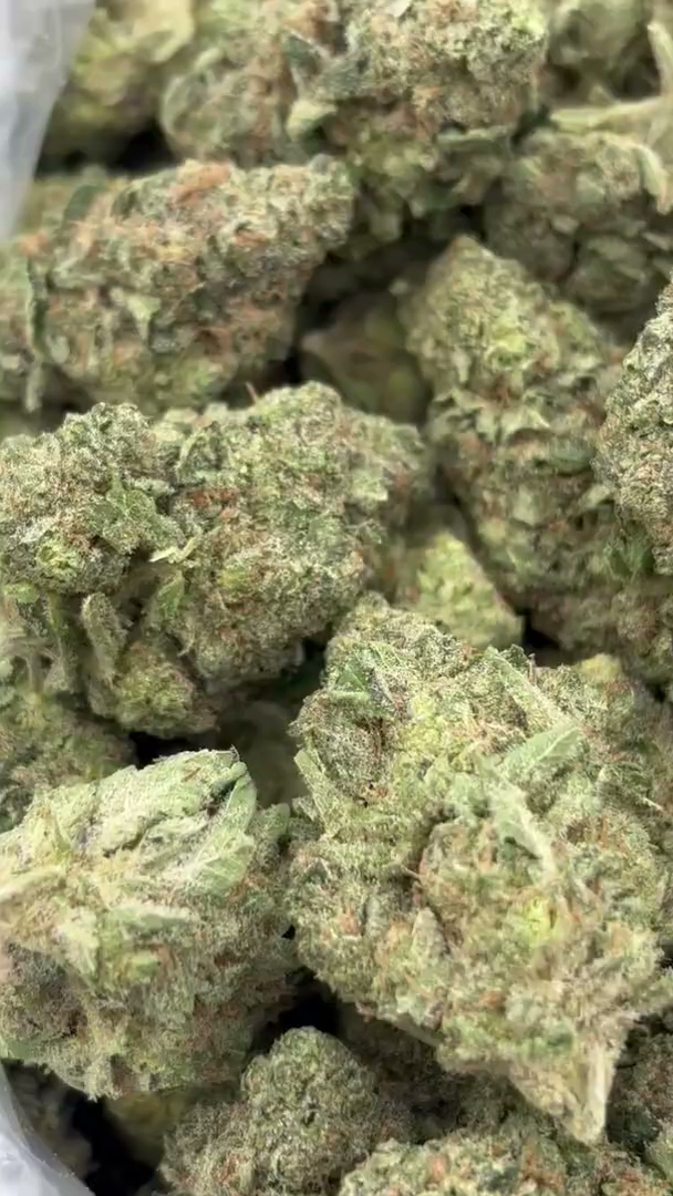 Citrus Jack Big — wholesale sativa flower
