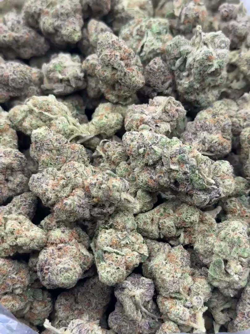 Glitter Bomb Big — wholesale hybrid flower