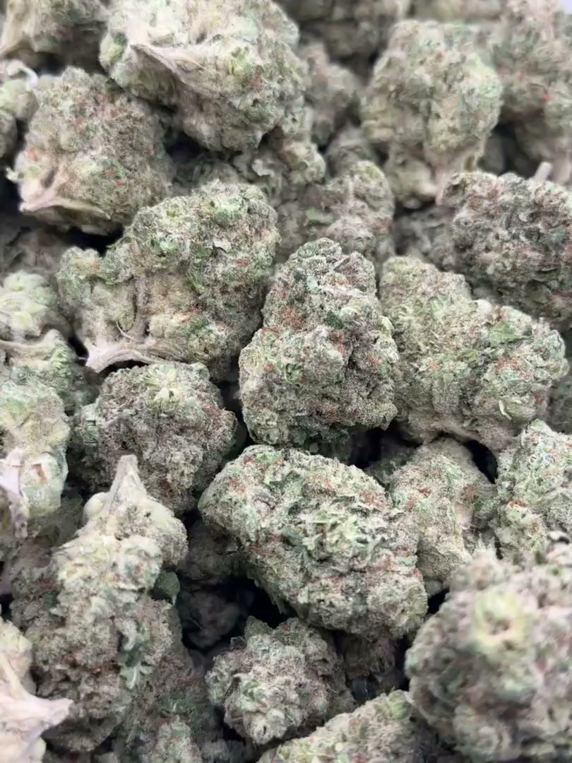 Hawaiian Burst Big — wholesale hybrid flower