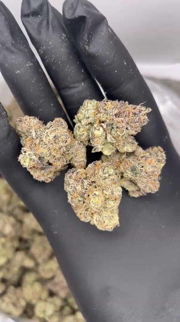 LA Pop Rocks x Purple Push Pop Big — wholesale indica flower