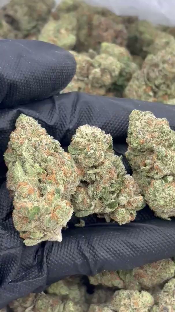 Pineapple Express Big — wholesale sativa flower