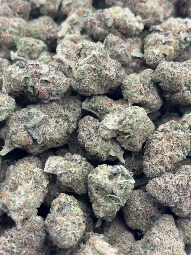 Purple Milk Big — wholesale hybrid flower