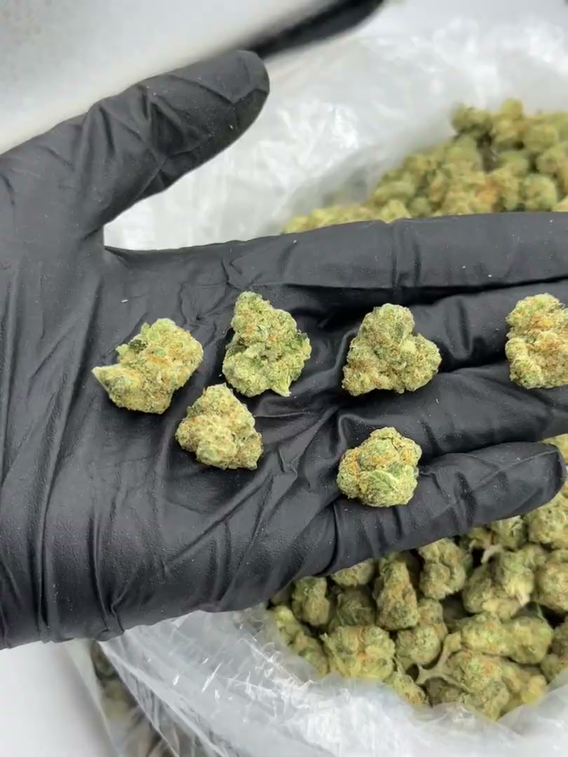 Snow Leopard Med — wholesale hybrid flower