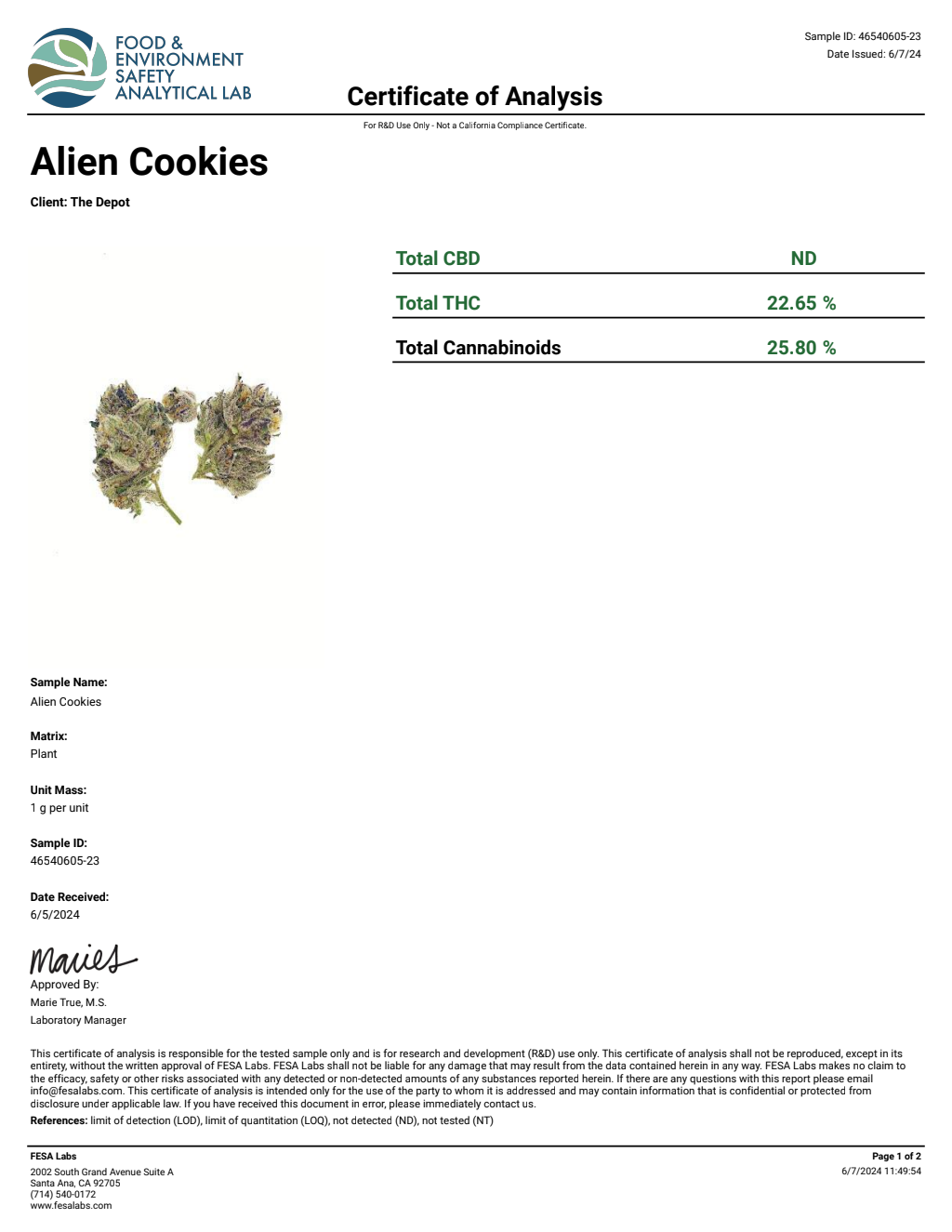 P2T7-ID Sugar Flame Big — wholesale hybrid edible
