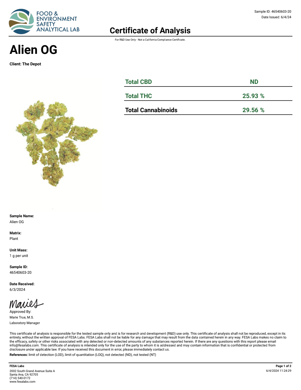 O6M8-IVC Skywalker Big — wholesale hybrid flower