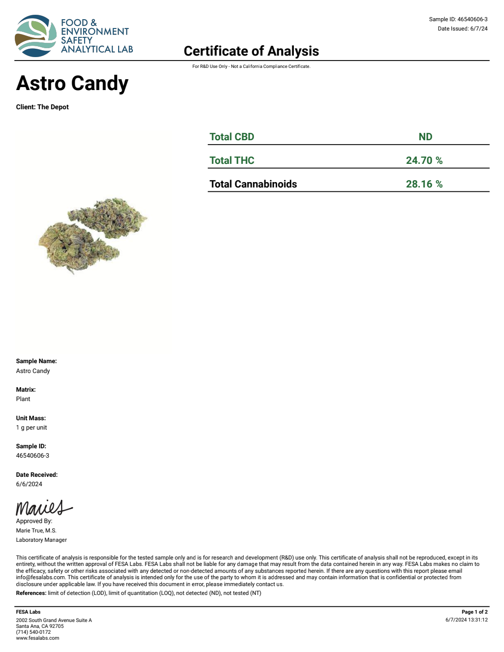 B3S9-IVD Cheetah Piss Big — wholesale hybrid edible