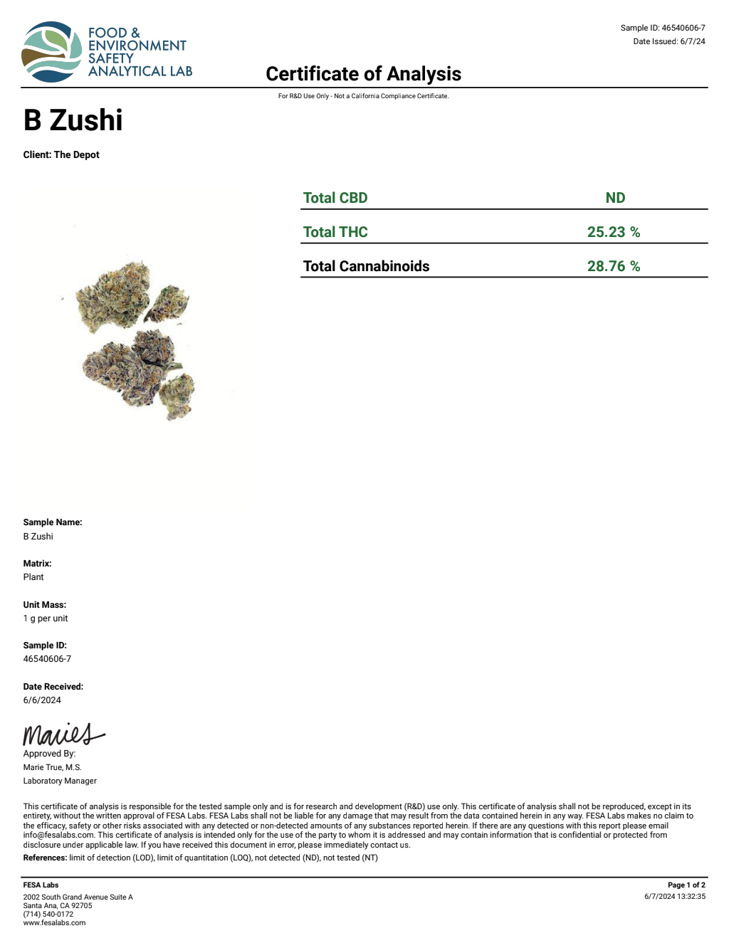 B3S9-IVD Jellie Cake Big — wholesale hybrid flower