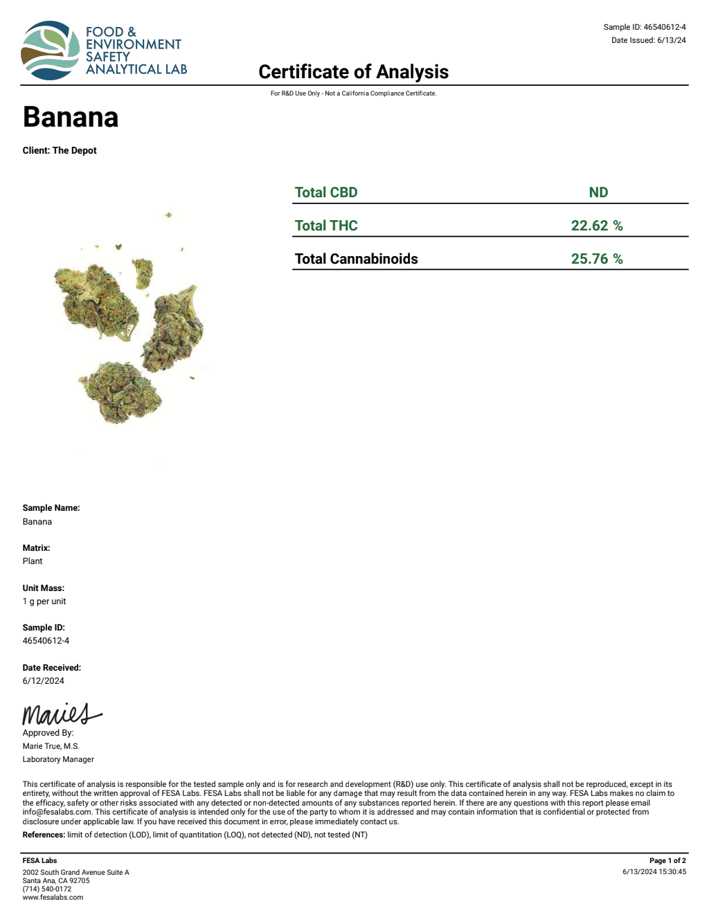 T4I0-IVD Sour D Big — wholesale hybrid flower