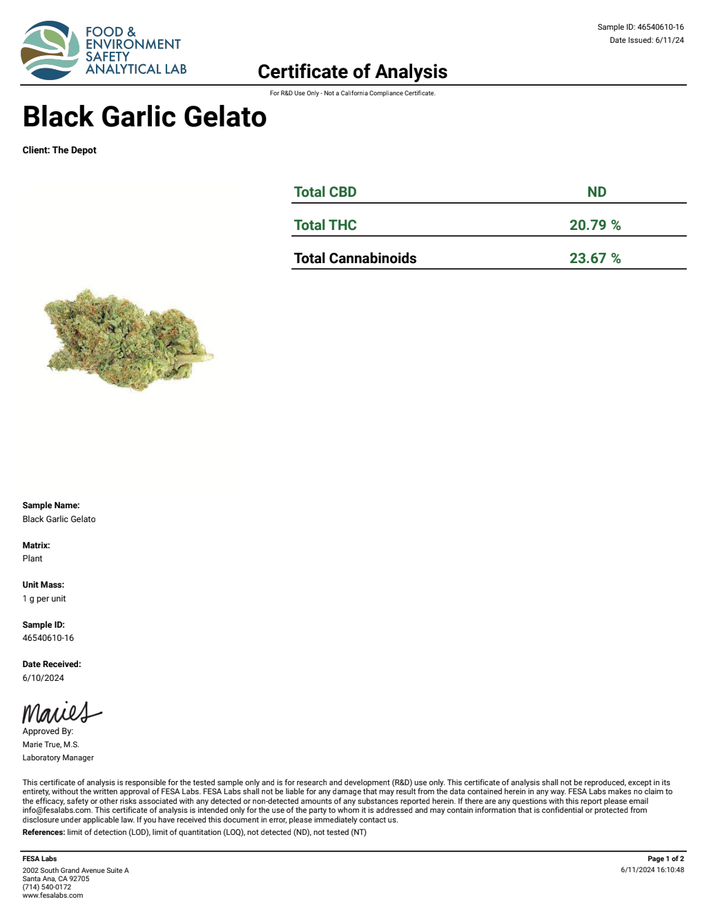P1R8-IVD Blockberry Big — wholesale hybrid flower