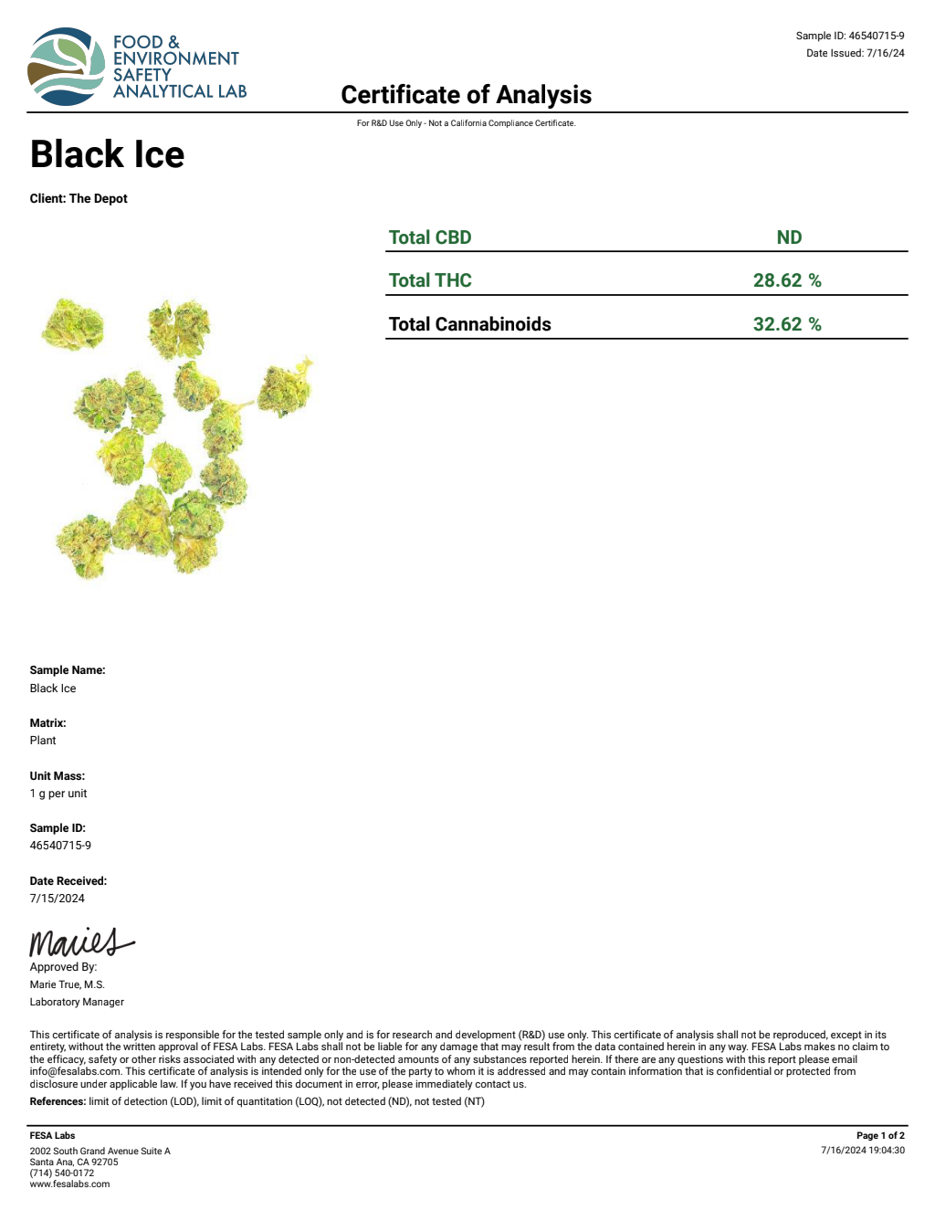 P1R8-IVD Gas Face Small — wholesale hybrid flower
