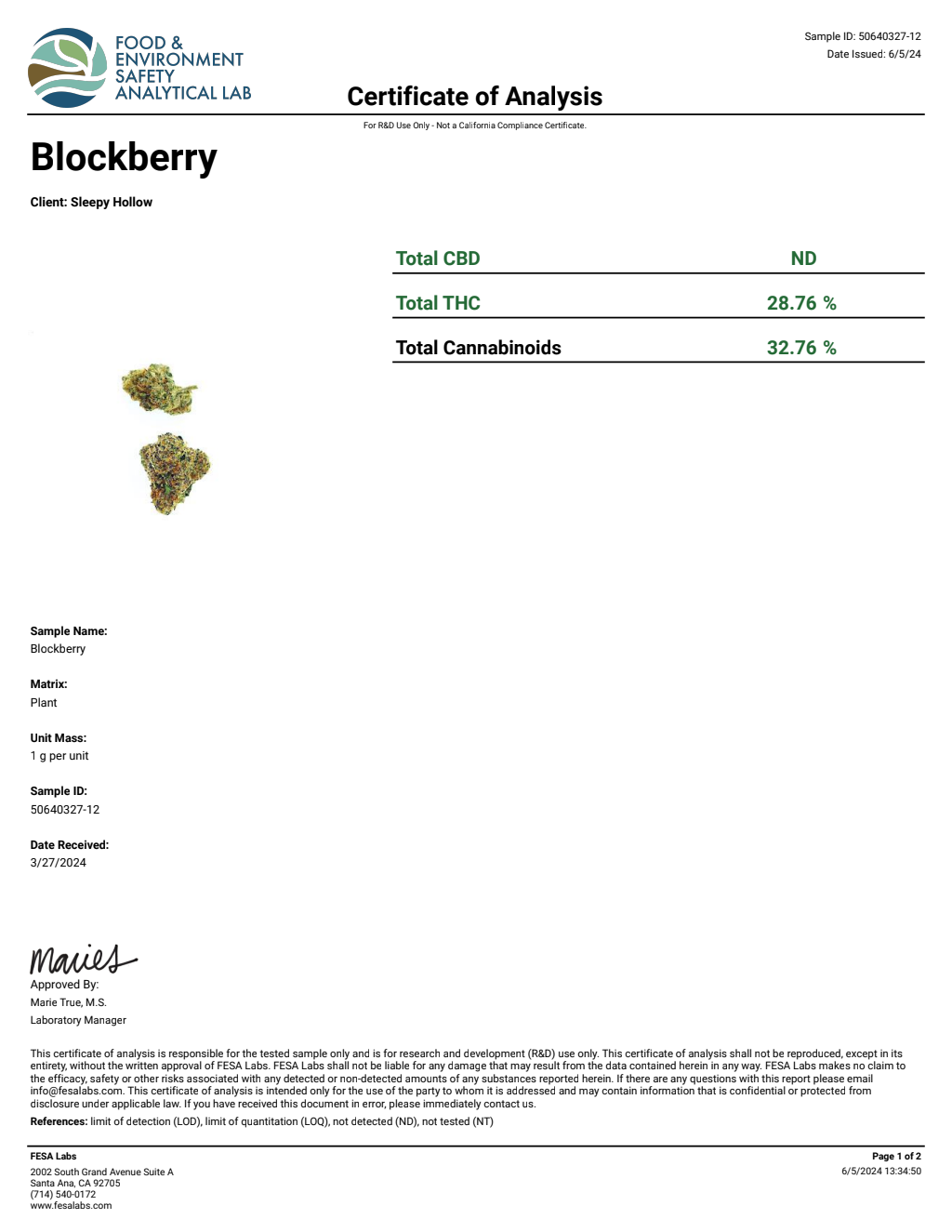 G7O4-IVD Jokerz x Gelato 41 Big — wholesale hybrid flower