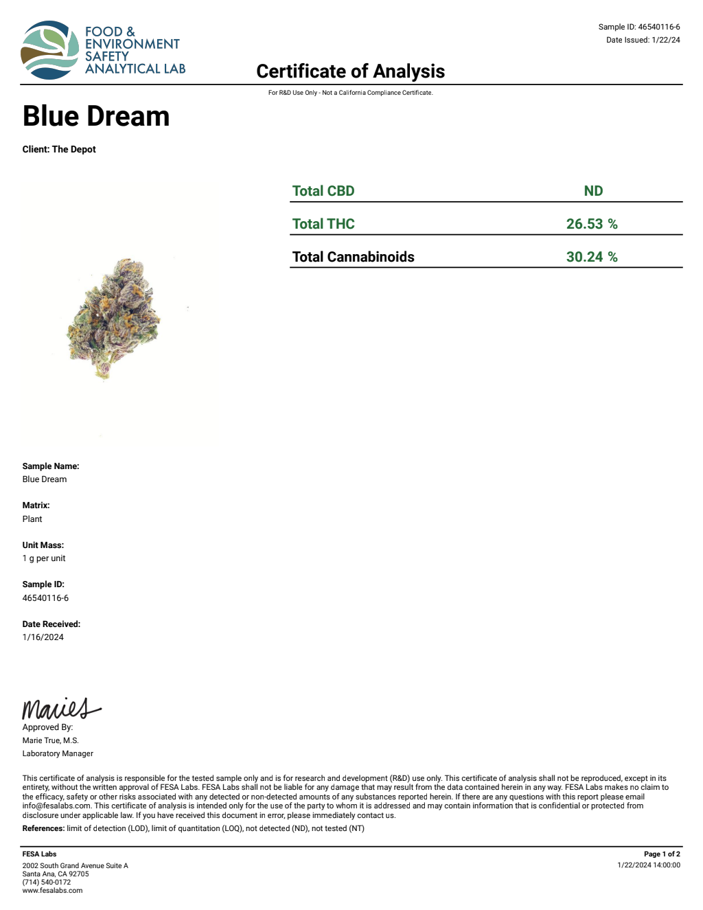G7O4-IVD Jokerz Candy Big — wholesale hybrid edible