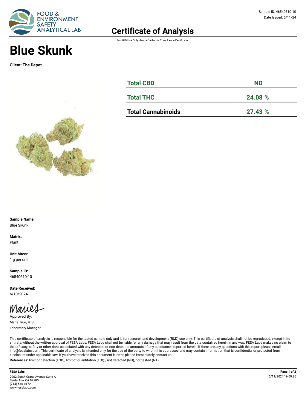 G7O4-IVD Eye Candy Runtz Big — wholesale hybrid edible
