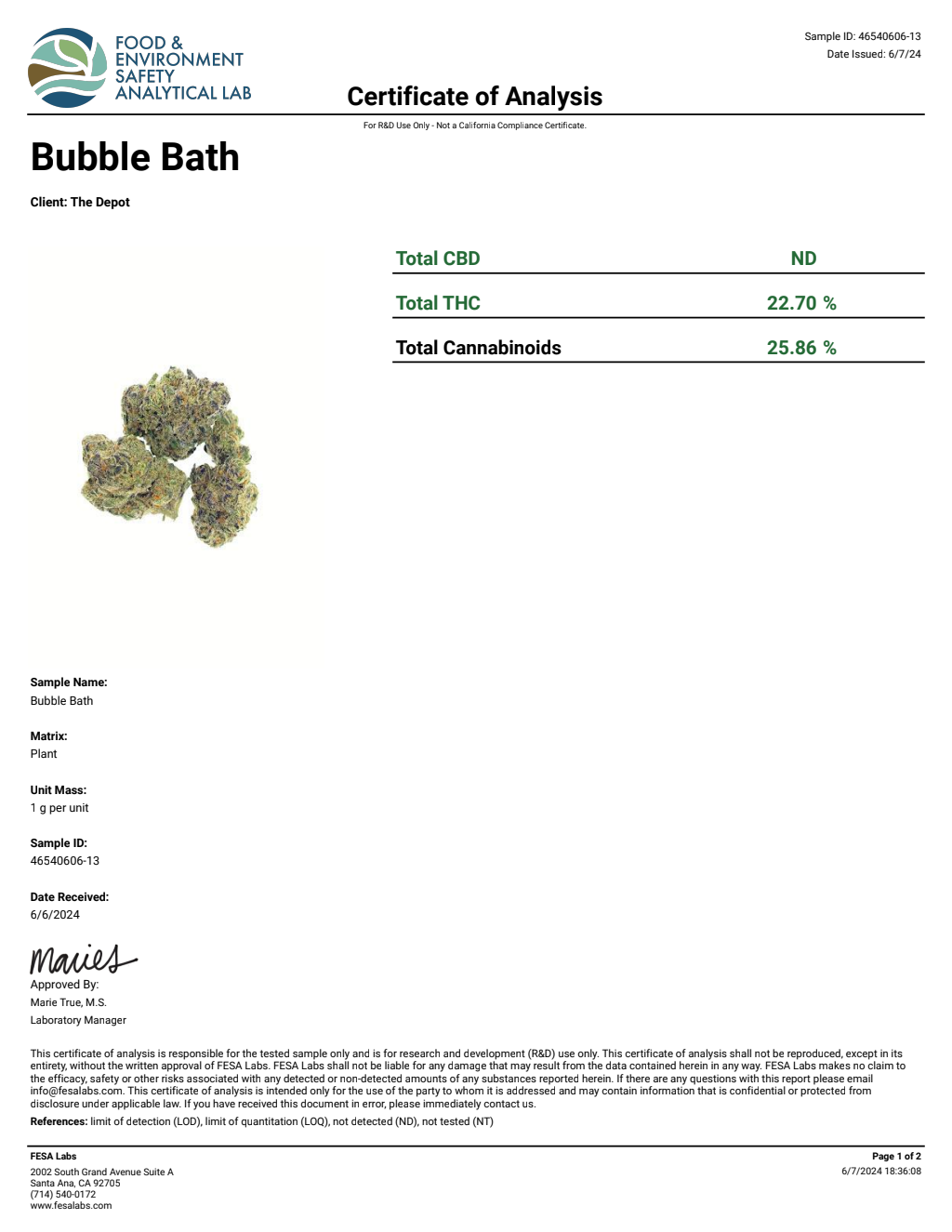 D0N5-IVE Zoap Big — wholesale hybrid flower