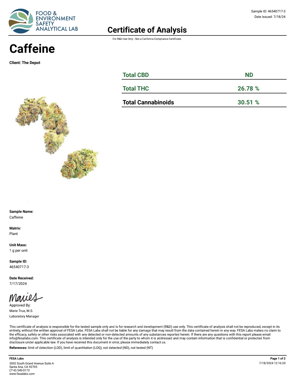 C0K5-IVE Cotton Candy Runtz Big — wholesale hybrid edible