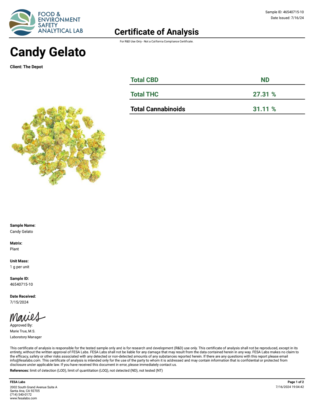 T9V3-VB E-85 Big — wholesale hybrid edible