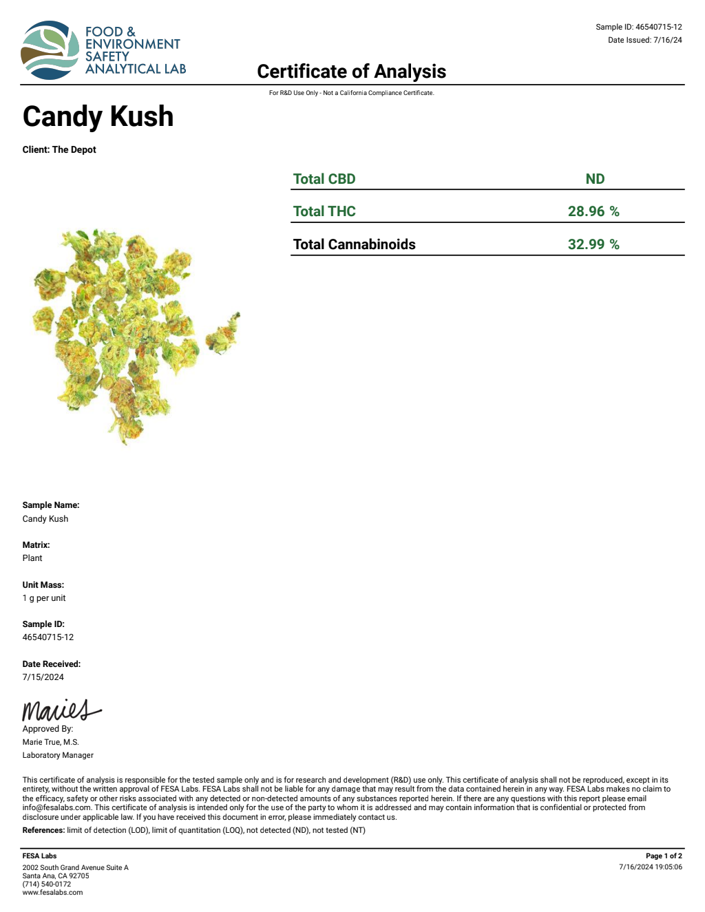 T9V3-VB Gov Oasis Big — wholesale hybrid edible