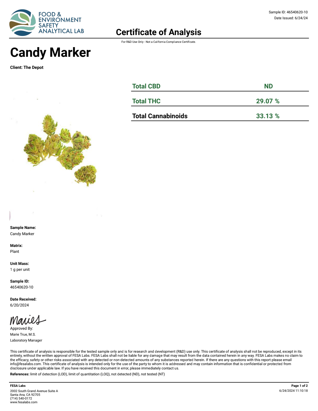 T9V3-VB Night Walker Big — wholesale hybrid edible