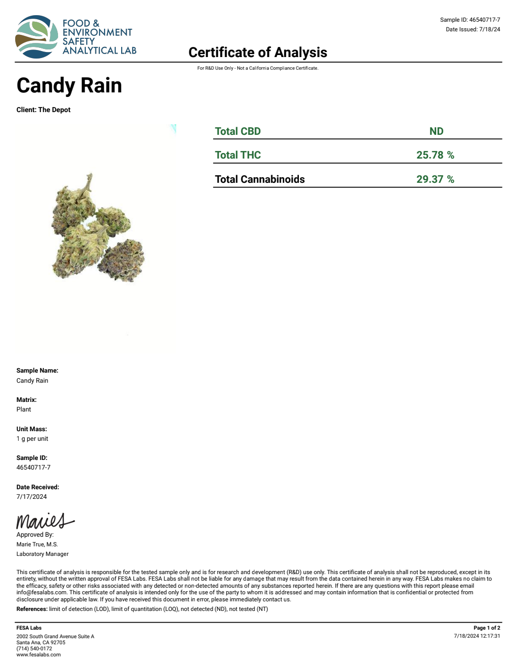 T9V3-VB Splash Big — wholesale hybrid edible