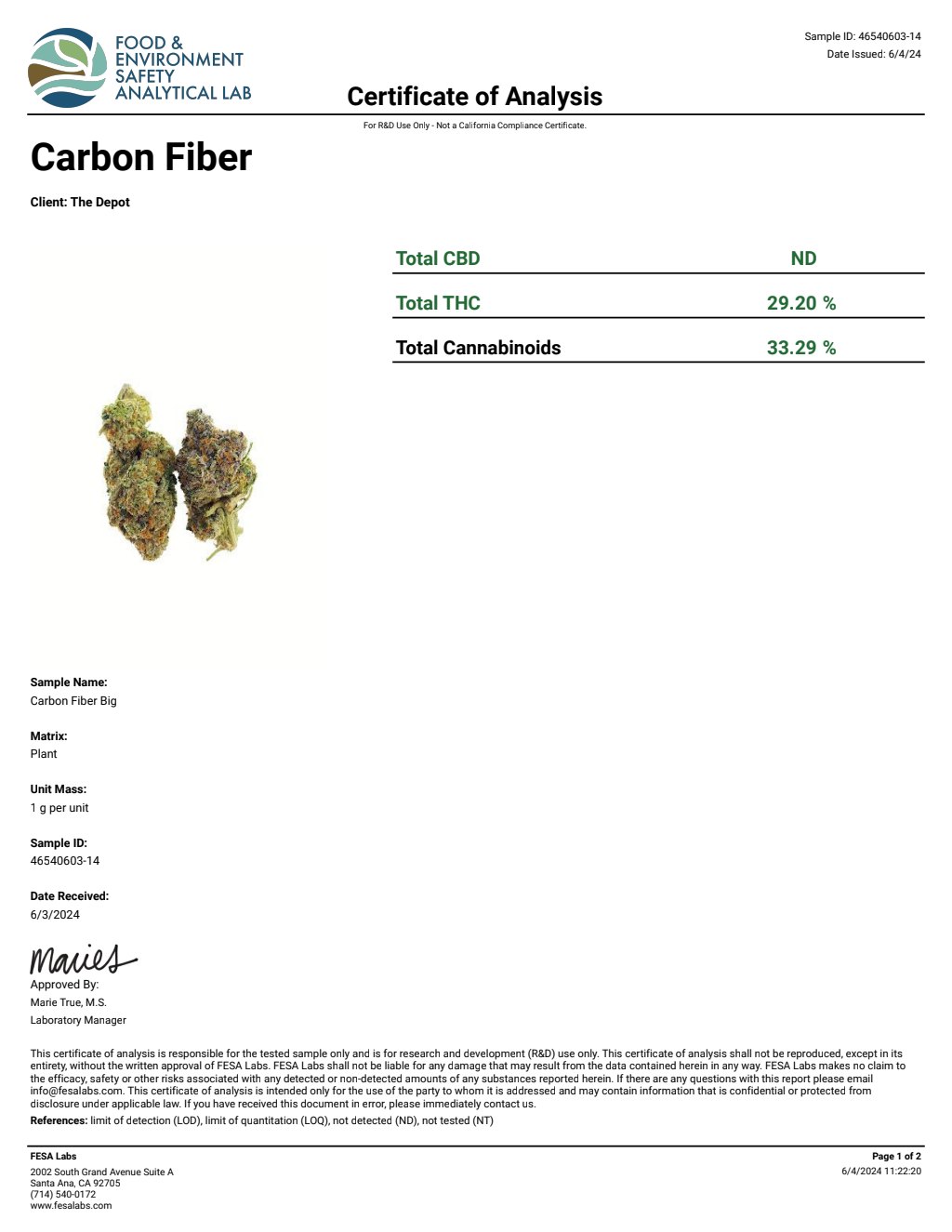 T0S2-VB Blueberry Z Big — wholesale hybrid flower
