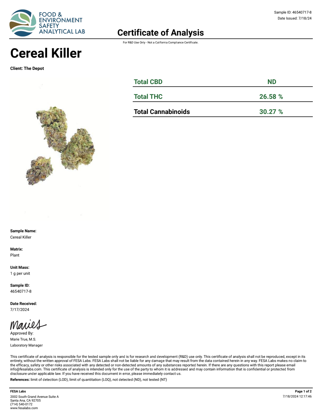 G1E3-VB Runtz x Jealousy Big — wholesale hybrid flower