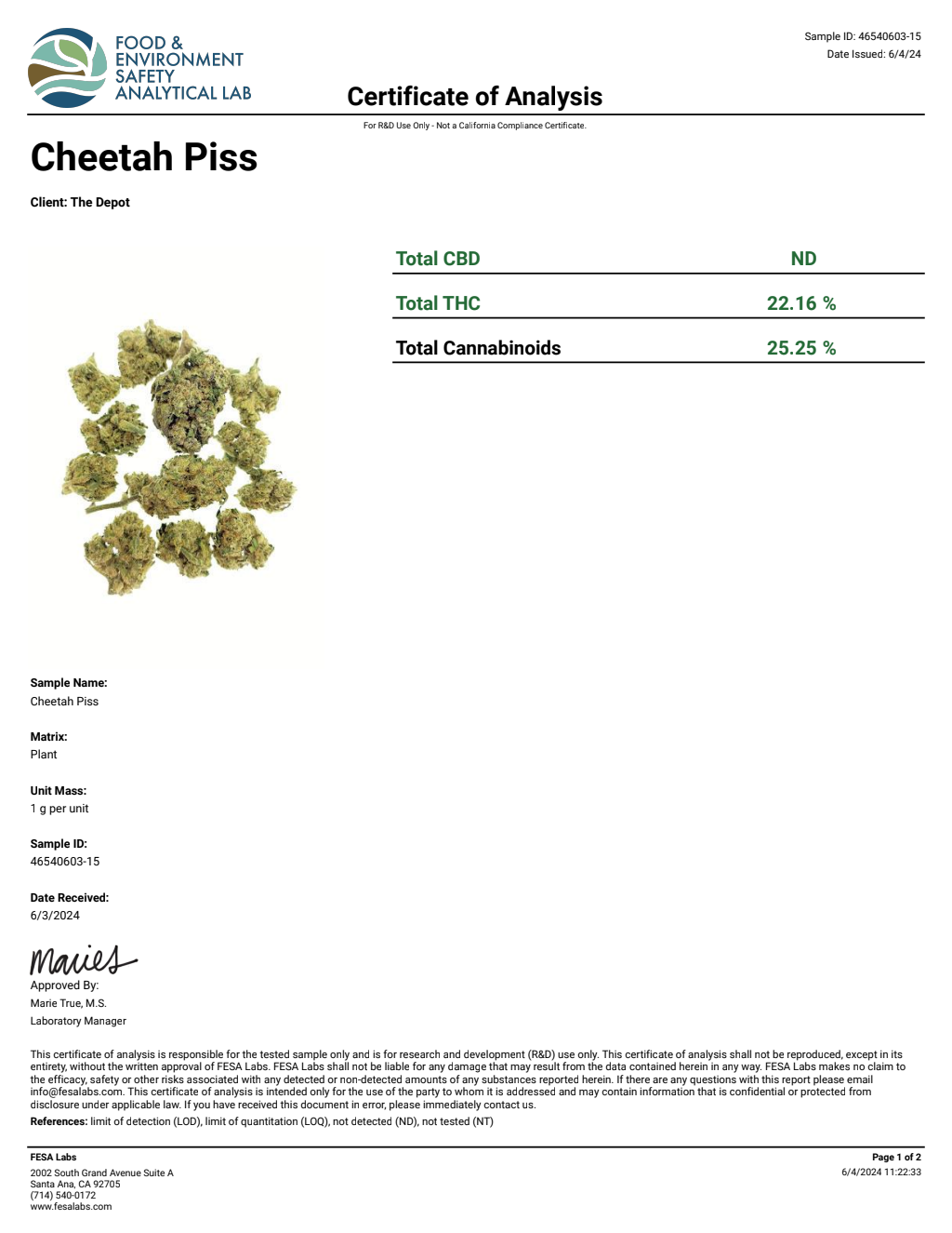 G1E3-VB Oreoz Big — wholesale hybrid flower