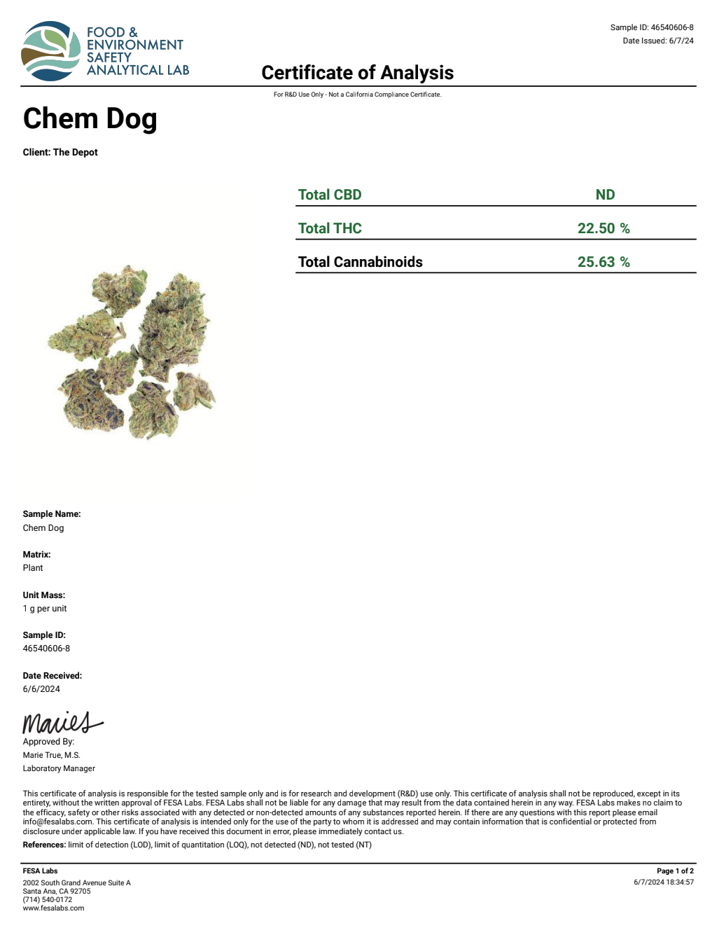 G1E3-VB Donny Burger Big — wholesale hybrid flower