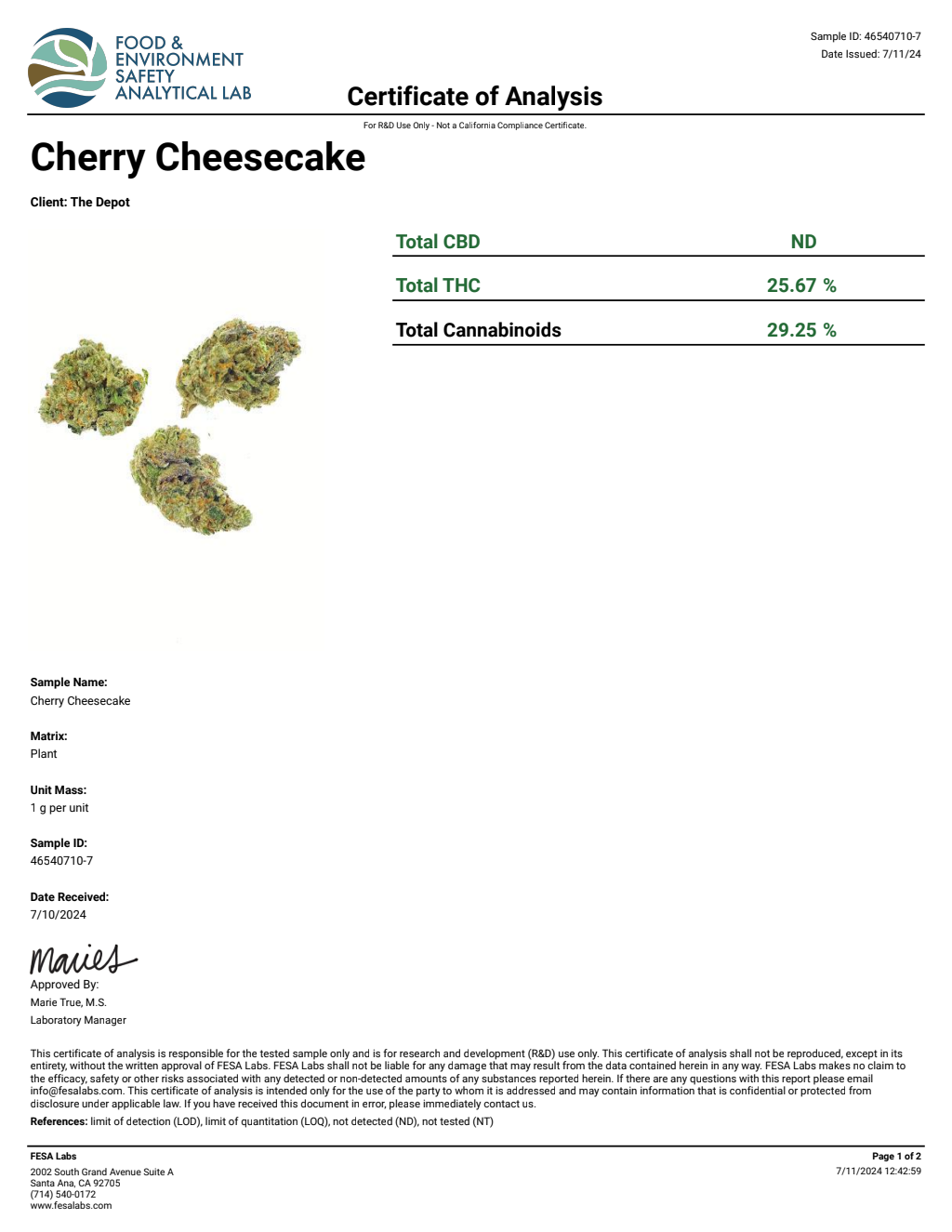 G1E3-VB GG4 Big — wholesale hybrid flower