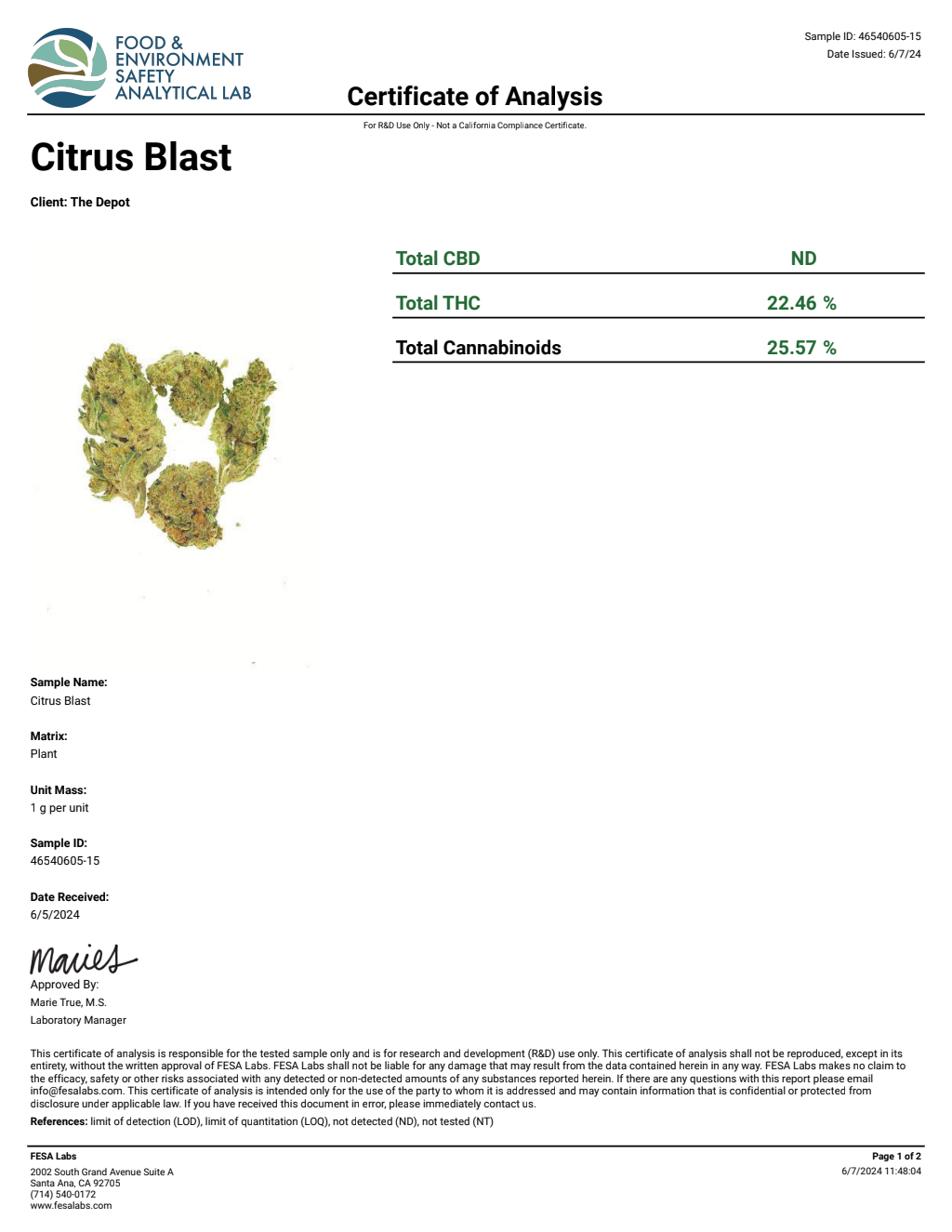 H3S9-VB Space Rocks Big — wholesale hybrid flower