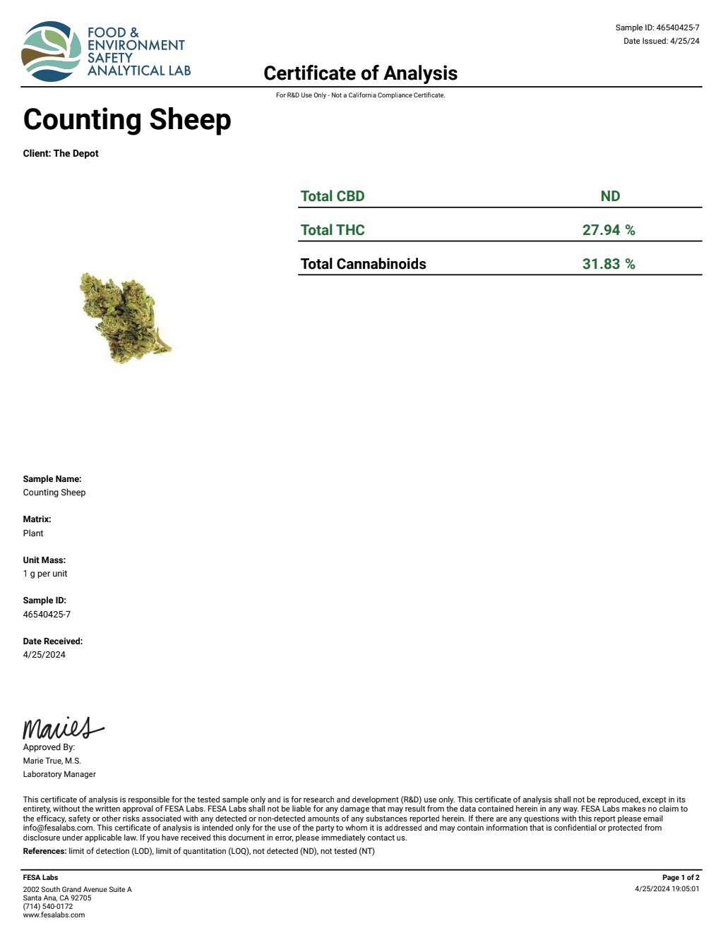 H3S9-VB Peanut Butter Breath Small — wholesale hybrid flower