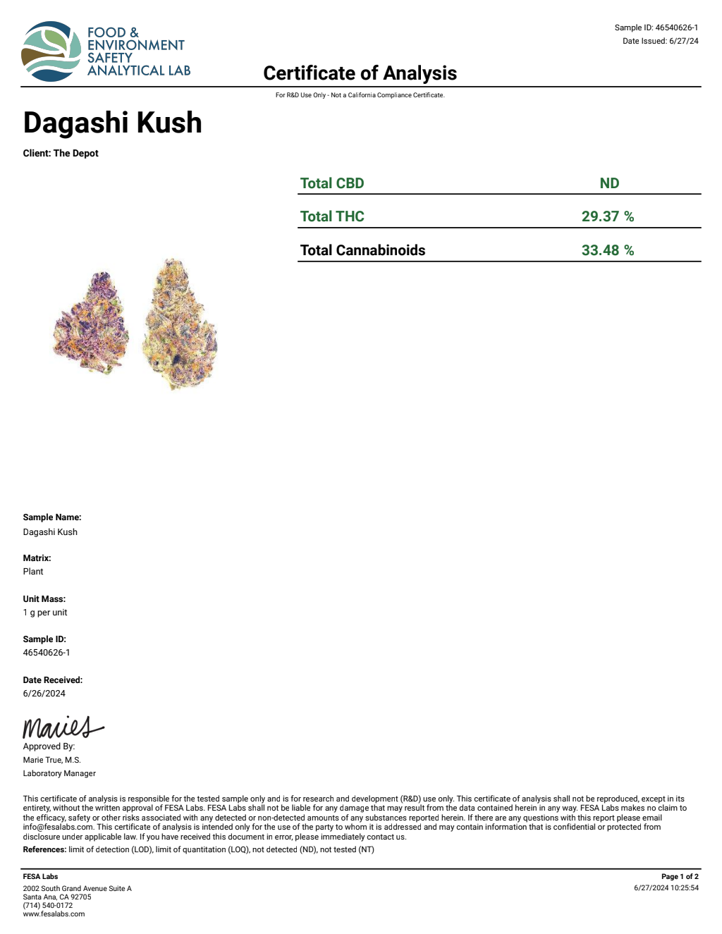 Z1A4-VB Nuclear Gummy Bear Big — wholesale hybrid edible