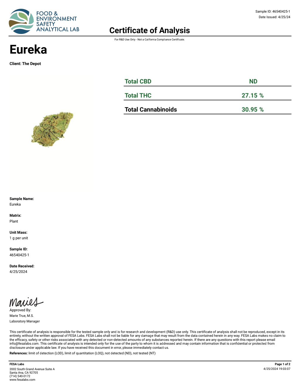 T9V3-IIIB Huster Fuel Big — wholesale hybrid flower