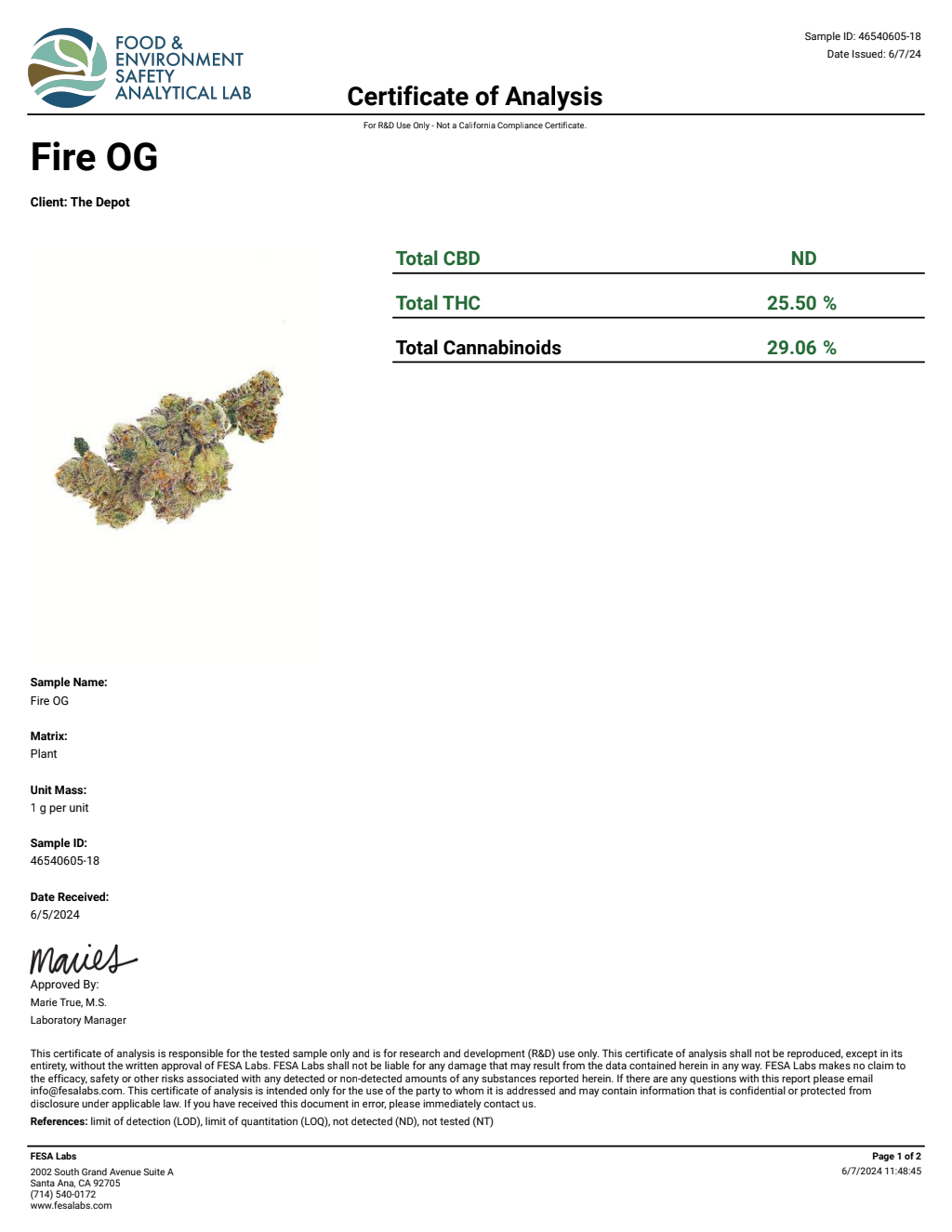 S1B7-IIID Lemon Cherry Sherbert Big — wholesale hybrid flower