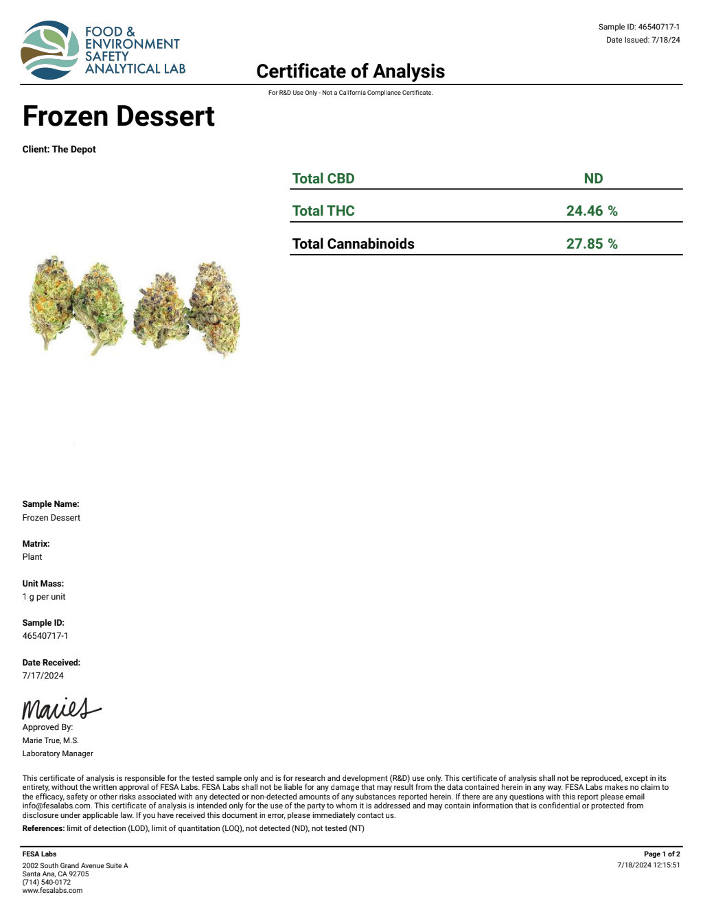 B3S9-IVD Purple Rain Big — wholesale hybrid flower