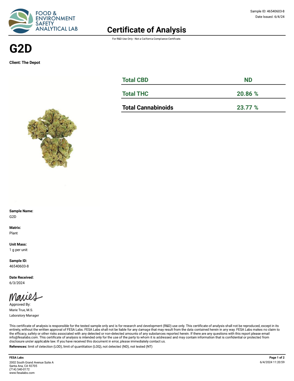 G8N4-IVD Tropicana Gelato Big — wholesale hybrid flower