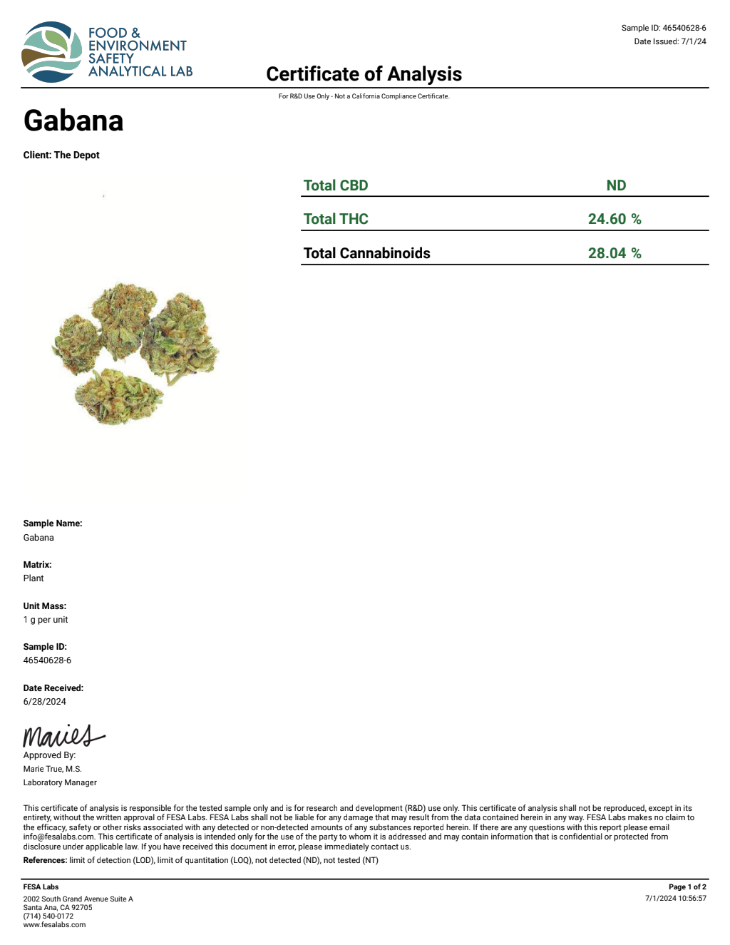 P1R8-IVD Animal Tree Big — wholesale hybrid flower