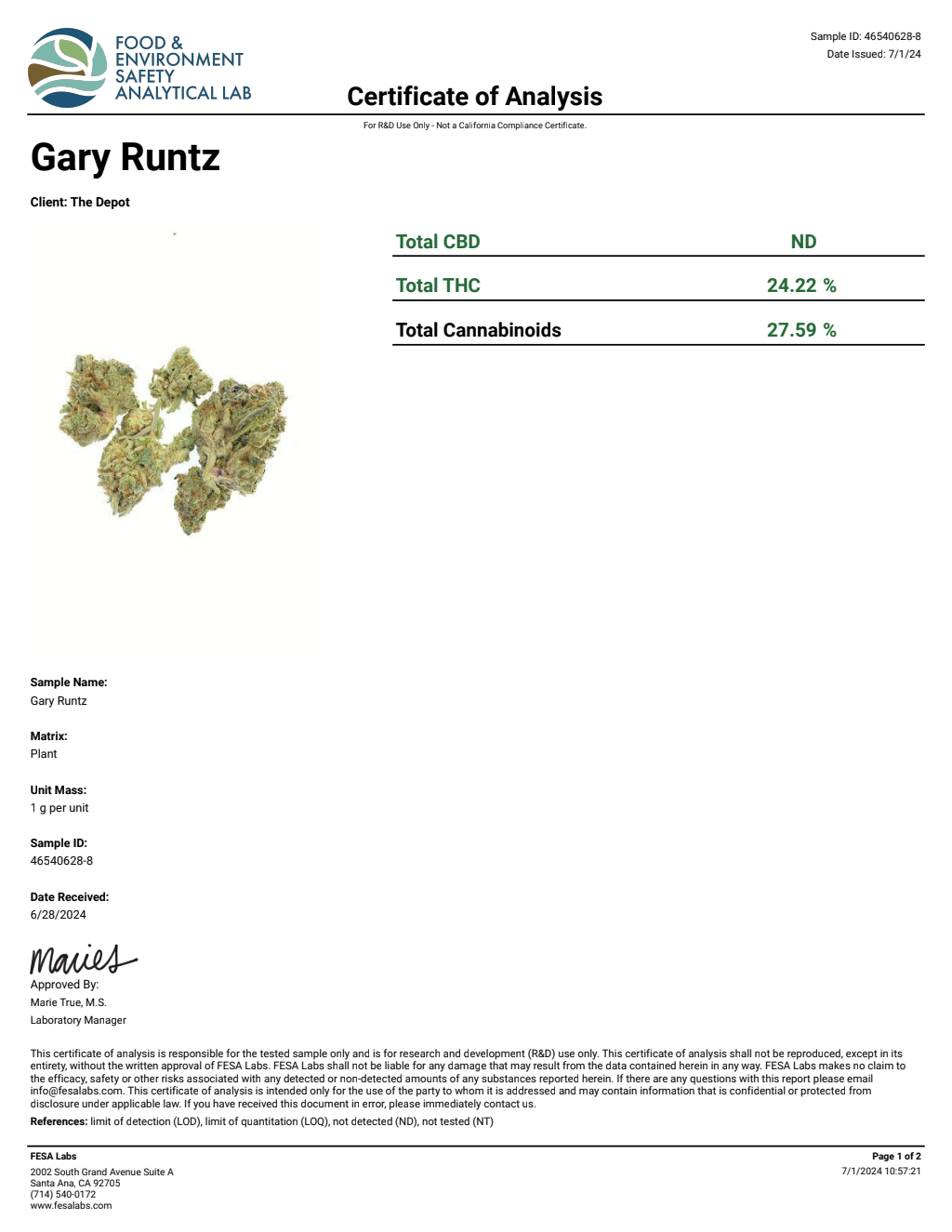 V2T8-IVE Blue Andieez Big — wholesale hybrid flower