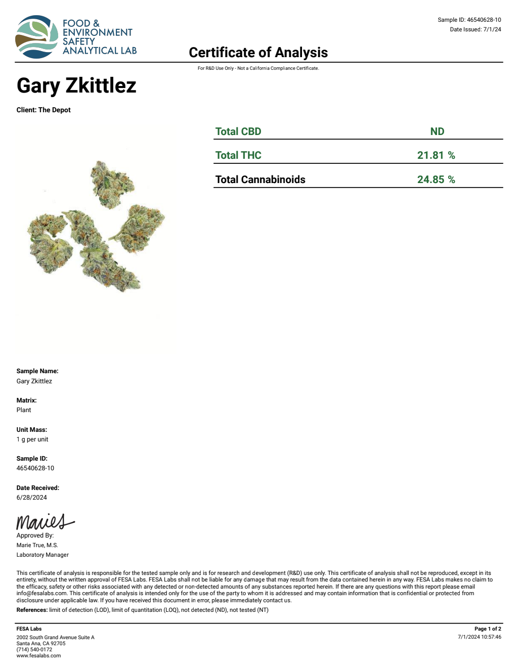 V2T8-IVE LCG Big — wholesale hybrid flower